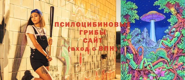 кокс Алексин