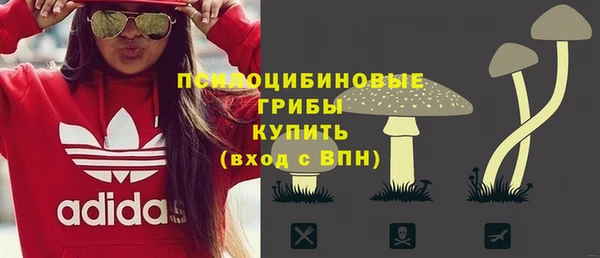 2c-b Алзамай