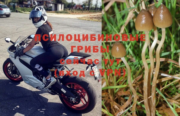 кокс Алексин