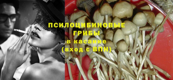 2c-b Алзамай