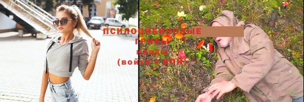 гидропоника Алексеевка